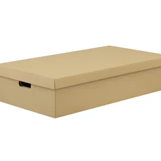 アイリスオーヤマ 段ボール収納ケース2枚セット DB-700 クラフト ゴミ 収納 ケース 4967576694094【別送品】