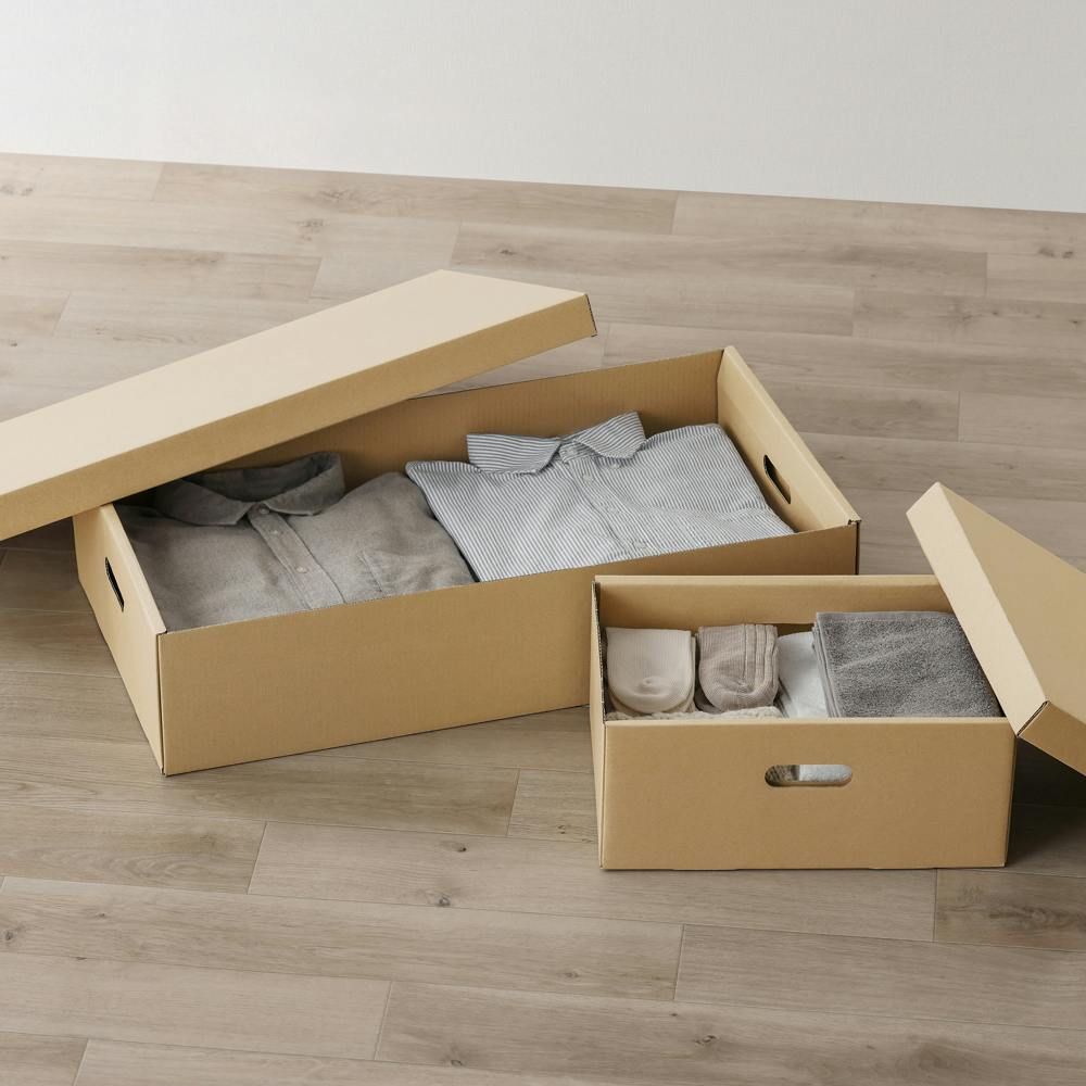 アイリスオーヤマ 段ボール収納ケース2枚セット DB-700 クラフト ゴミ