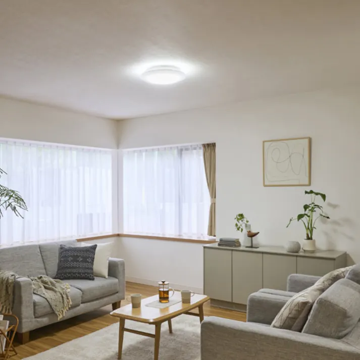 アイリスオーヤマ LEDシーリングライト Series Q 調光 12畳 プレーン CEA12D-5.0Q リビング 寝室 LEDシーリングライト 4967576698993【別送品】