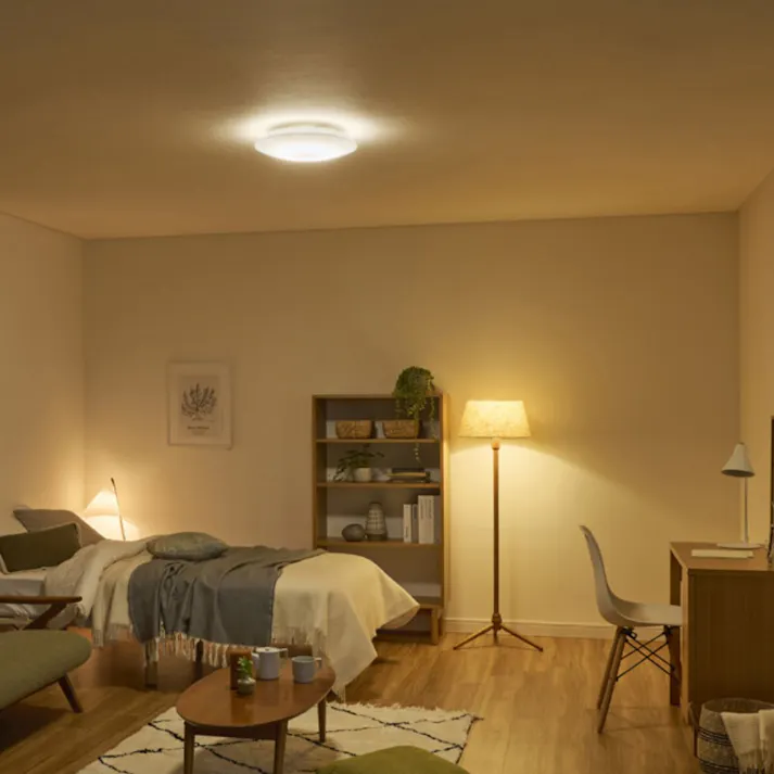 アイリスオーヤマ LEDシーリングライト Series Q 調光 12畳 プレーン CEA12D-5.0Q リビング 寝室 LEDシーリングライト 4967576698993【別送品】