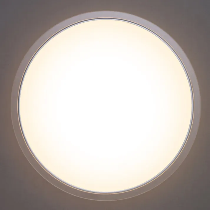 アイリスオーヤマ LEDシーリングライト 14畳調光 クリアフレーム CEA14D-5.0QCF リビング 寝室 LEDシーリングライト 4967576700979【別送品】