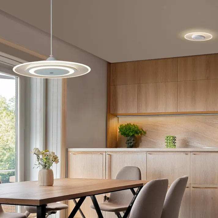 アイリスオーヤマ LEDペンダント パネルライト 調光 6畳 PLP6D-WW リビング 寝室 LEDペンダント 4967576705967【別送品】