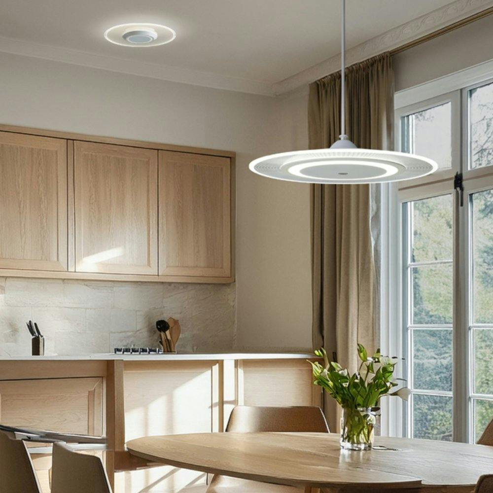 アイリスオーヤマ LEDペンダント パネルライト 調光 6畳 PLP6D-D