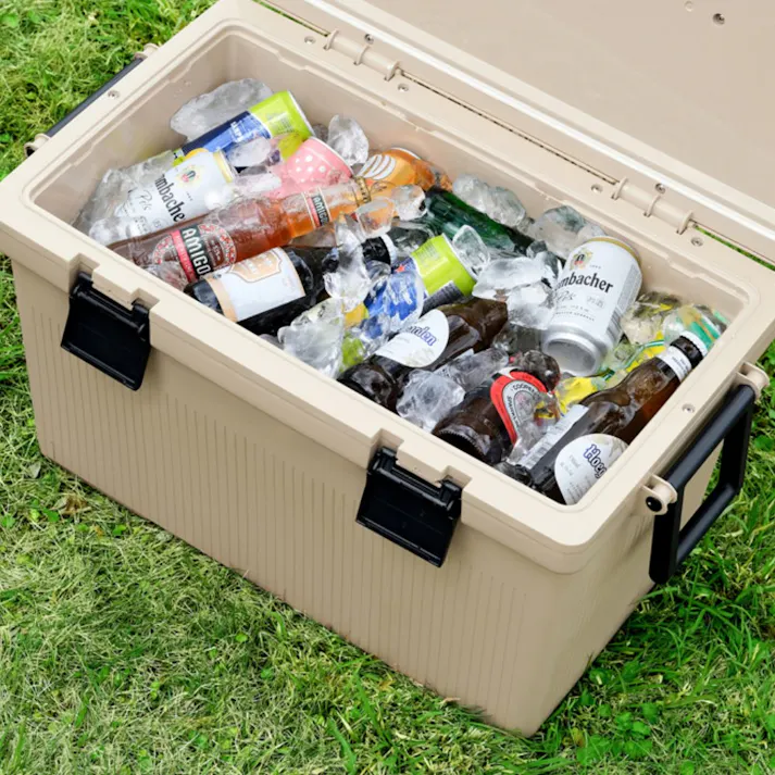 アイリスオーヤマ クーラーボックス CL-45 ベージュ キャンプ 釣り クーラーボックス 4967576706391【別送品】