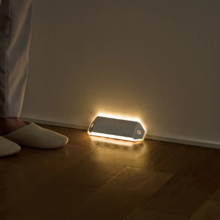 アイリスオーヤマ 乾電池式LEDセンサーライト ダブルセンサー廊下タイプ BSL-RWMS 廊下 階段 屋内センサーライト 4967576735131【別送品】
