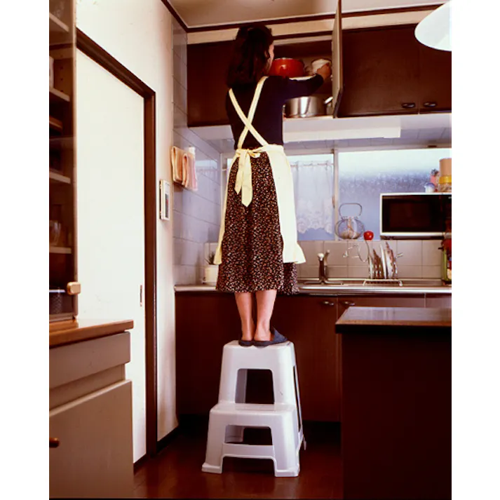 アイリスオーヤマ 2段踏み台 ライトグレー 455×525×565mm NF-560 屋外屋内兼用 玄関 持ち運び【別送品】