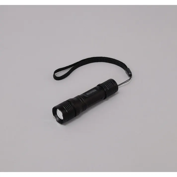 アイリスオーヤマ LEDハンディライト 100lm ズーム機能付き LWK-100Z 携帯用 作業補助 防災【別送品】