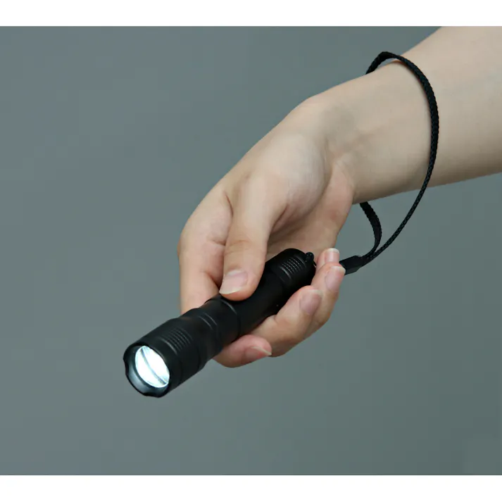 アイリスオーヤマ LEDハンディライト 100lm ズーム機能付き LWK-100Z 携帯用 作業補助 防災【別送品】