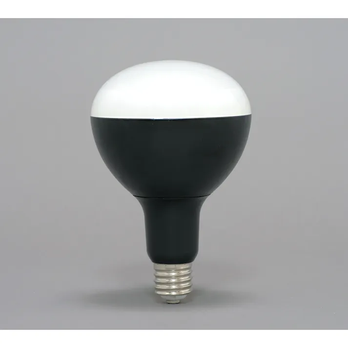 アイリスオーヤマ LED電球投光器用 3000lm LDR27D-H-E39 省エネ 高照度 長寿命【別送品】