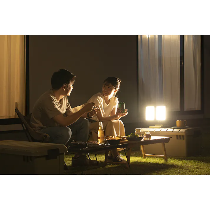 アイリスオーヤマ LEDベースライトAC式 3000lm LLT-3000B-WP 工事現場 高照度 屋外作業【別送品】