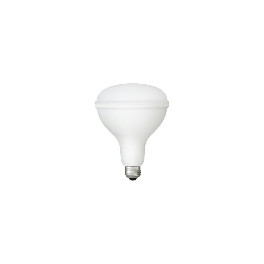 アイリスオーヤマ LED投光器用 交換電球2000lm LDR16D-H-E2 省エネ 高