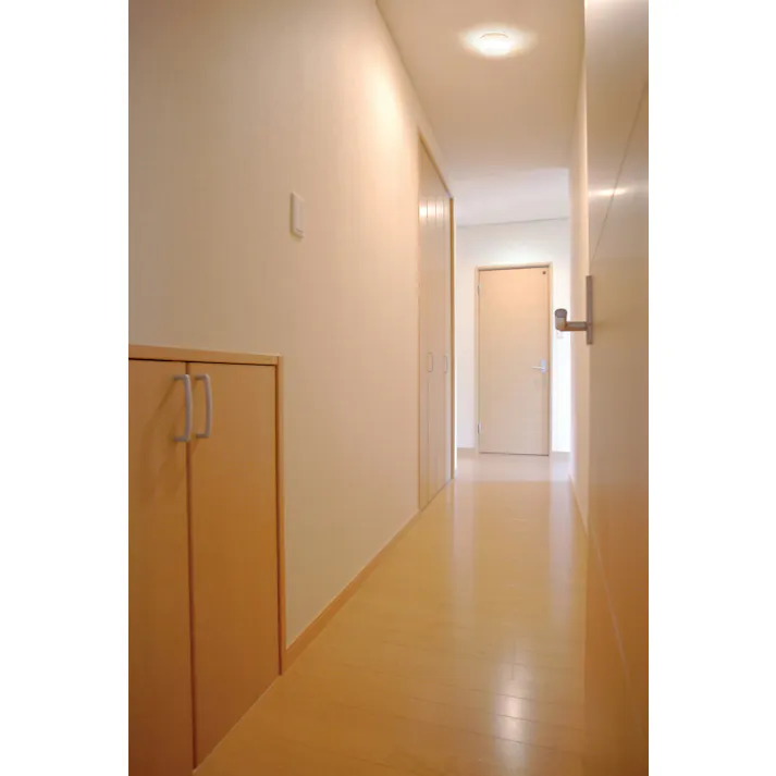 アイリスオーヤマ 小型シーリングライト 高効率 2000lm 電球色 玄関 キッチン 省エネ SCL20L-H【別送品】