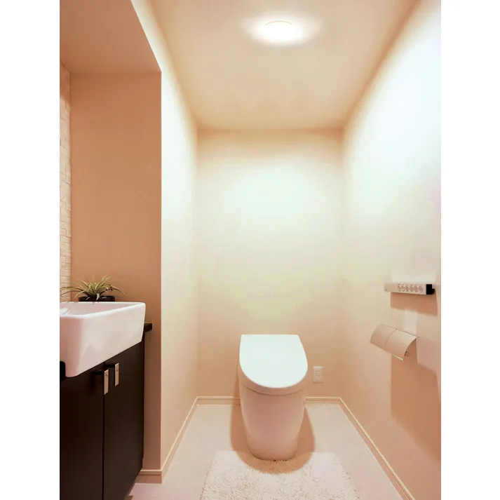 アイリスオーヤマ 小型シーリングライト 高効率 2000lm 電球色 玄関 キッチン 省エネ SCL20L-H【別送品】