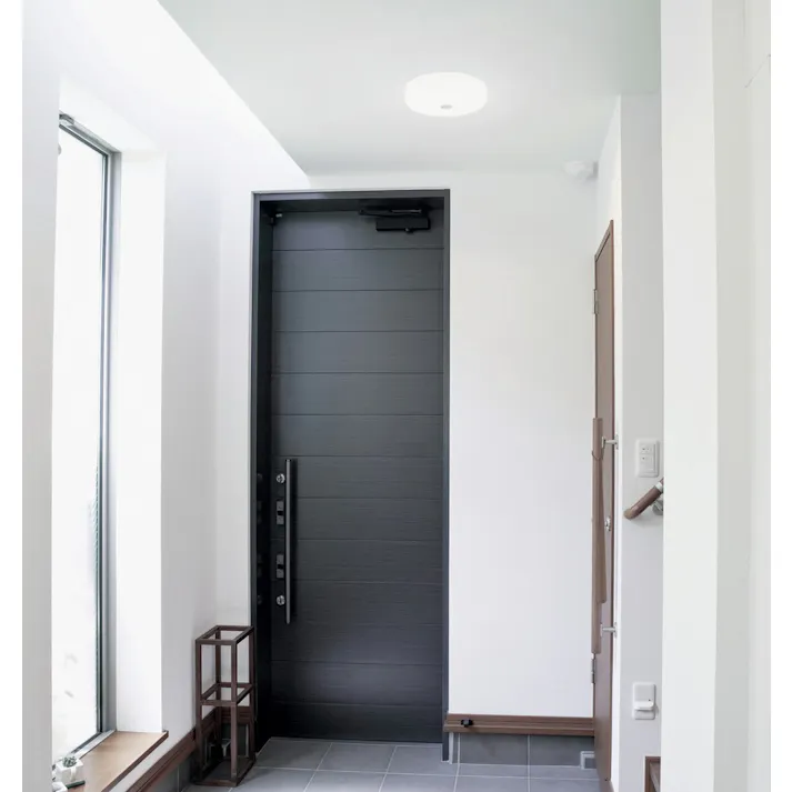 アイリスオーヤマ 小型シーリングライト 高効率 2000lm 昼光色 人感センサー付 玄関 物置 省エネ SCL20D-MS-H【別送品】