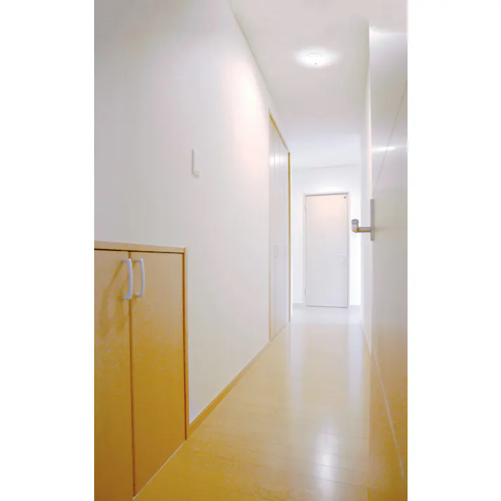 アイリスオーヤマ 小型シーリングライト 高効率 2000lm 昼光色 人感センサー付 玄関 物置 省エネ SCL20D-MS-H【別送品】