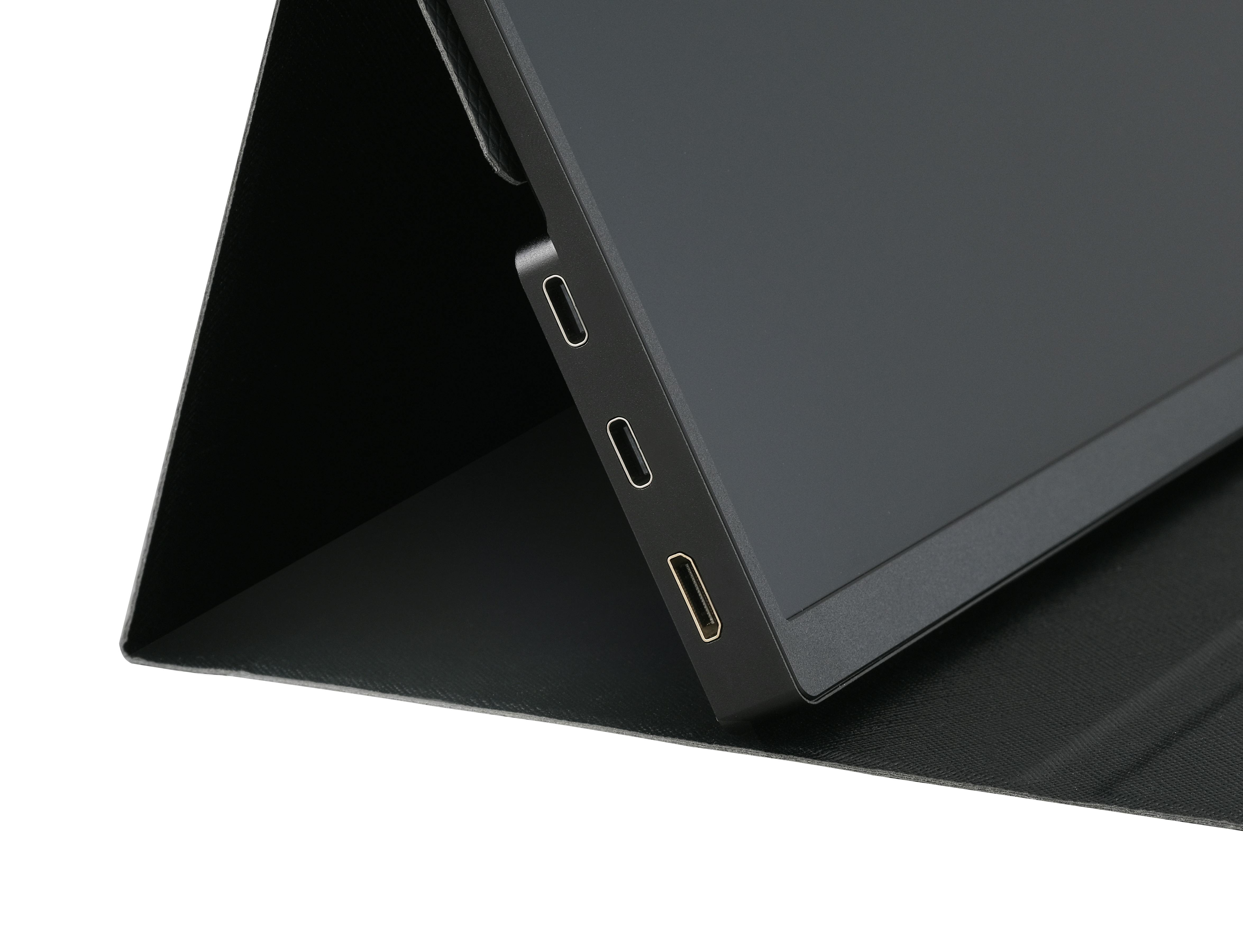 アイリスオーヤマ ポータブルモニター 18.5V型 ブラック DP-EF184S-B