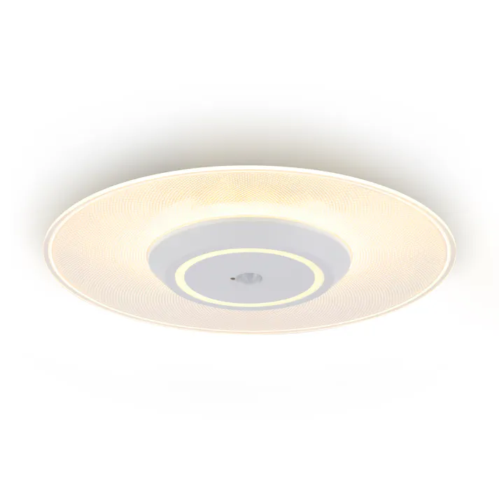 アイリスオーヤマ LED小型シーリングライト パネルライト 人感センサー付き 電球色 クローゼット 廊下 トイレ SCL190L-MS-P【別送品】