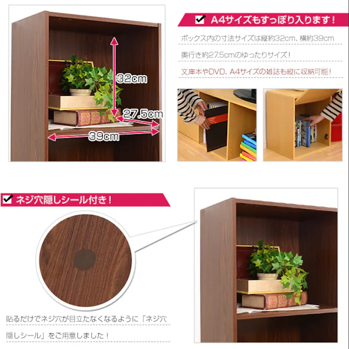 HomeTaste A4サイズ収納OK!扉付きカラーボックス【-5ivox-フィボックス】 ダークブラウン 収納 カラフル ほこり対策 A4-T5D--DBR【別送品】