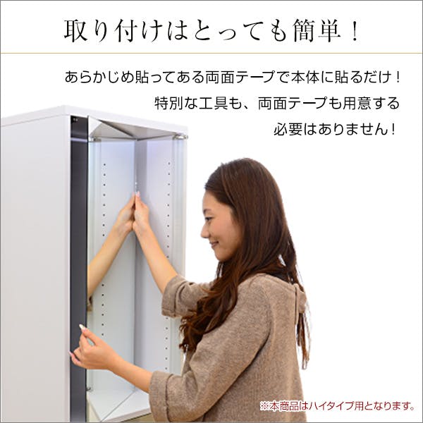 HomeTaste コレクションラック【-Luke-ルーク】専用ミラー2枚セット