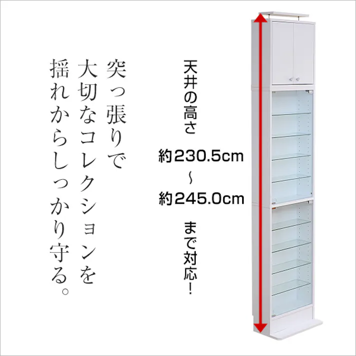 HomeTaste コレクションラック【-Luke-ルーク】浅型ハイタイプ(専用上置き) ダークブラウン 趣味収納 かっこいい 推し活 CLR-485UP--DBR【別送品】