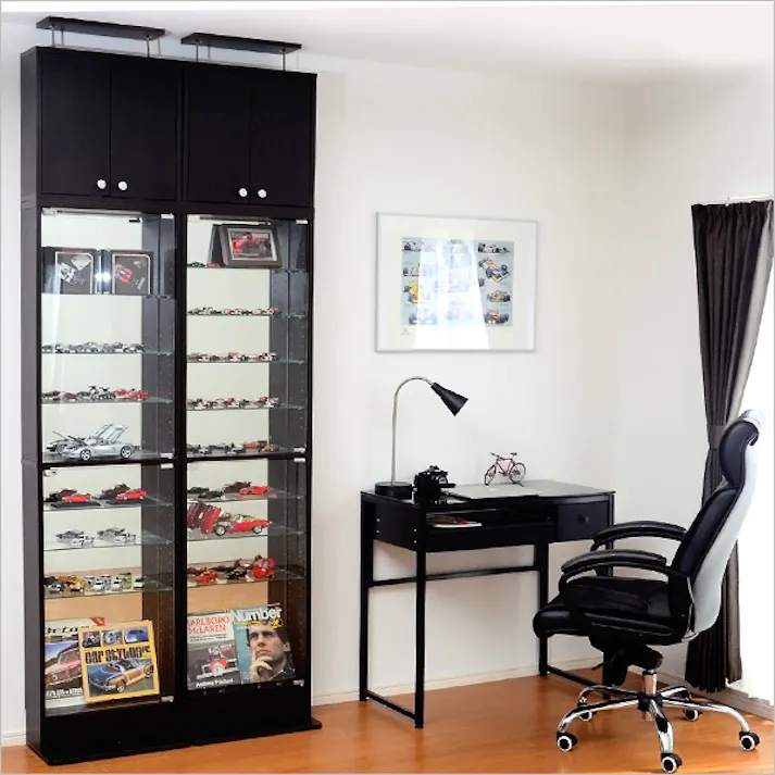 HomeTaste コレクションラック【-Luke-ルーク】浅型ハイタイプ(専用上置き) ダークブラウン 趣味収納 かっこいい 推し活 CLR-485UP--DBR【別送品】