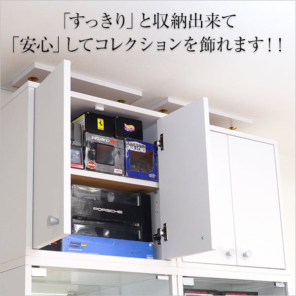 HomeTaste コレクションラック【-Luke-ルーク】浅型ハイタイプ(専用上