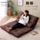 HomeTaste 2人掛け 110cm幅 3way ソファ【Paljon-パルヨンー】 ライトグレー 座椅子 3wayソファ 3つ折り F3W-110--LGY【別送品】
