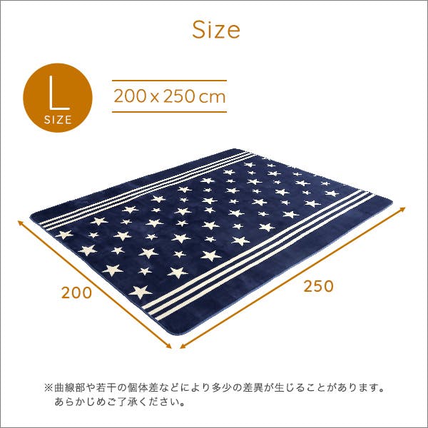 HomeTaste マイクロファイバー・デザインラグマットLサイズ(200×250cm