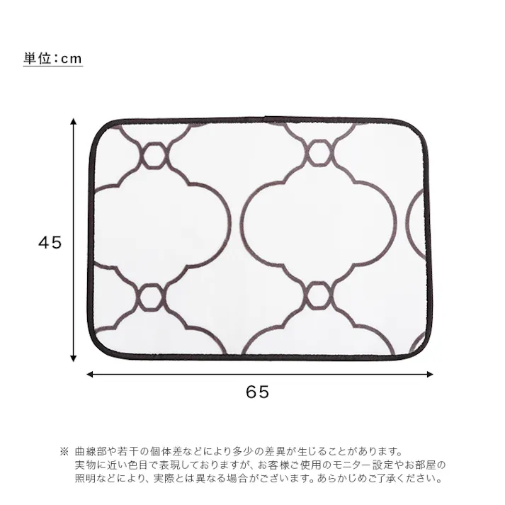 HomeTaste 洗えるデザイン玄関マット 45×65cm 【ヴィタム2-Witam2-】 ハッパグリーン 速乾 ウォッシャブル マット FRG-G2-S--HGE【別送品】