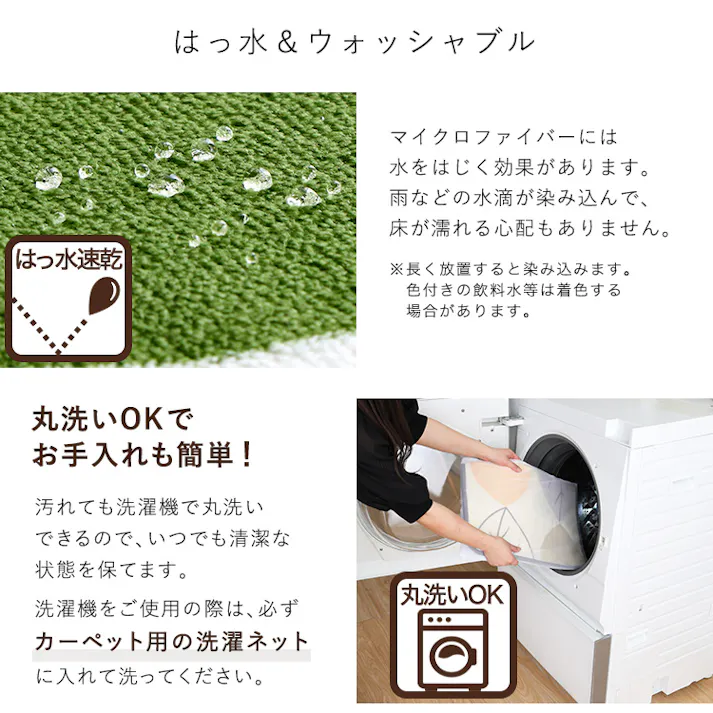 HomeTaste 洗えるデザイン玄関マット 45×65cm 【ヴィタム2-Witam2-】 ハッパグリーン 速乾 ウォッシャブル マット FRG-G2-S--HGE【別送品】
