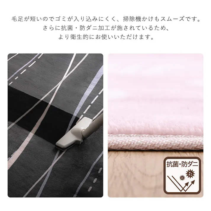 HomeTaste 洗えるデザイン玄関マット 45×65cm 【ヴィタム2-Witam2-】 スモーキーベージュ 速乾 ウォッシャブル マット FRG-G2-S--SKBE【別送品】