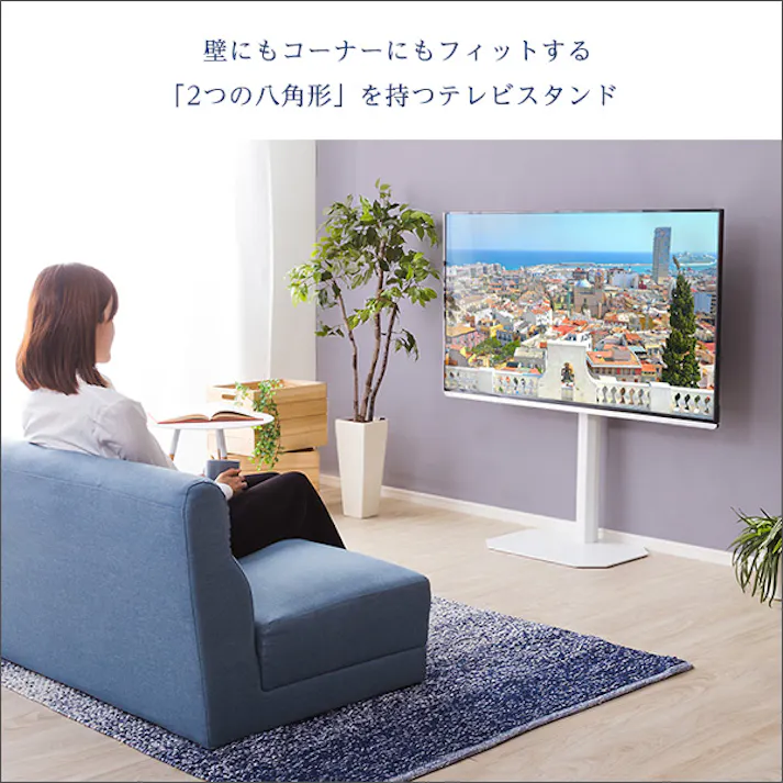HomeTaste 八角テレビスタンド専用 ハードディスクホルダーセット グリーン テレビ台 美しい シンプル OTG-SET--GE【別送品】