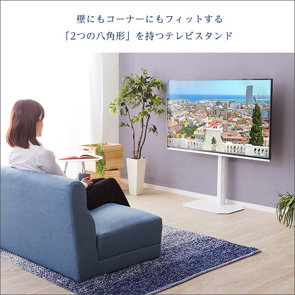 HomeTaste 八角テレビスタンド専用 ハードディスクホルダーセット