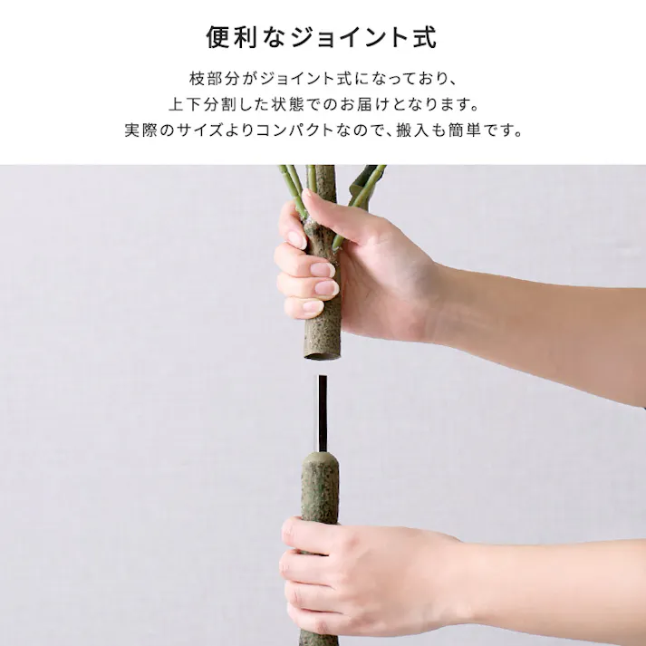 アーバン通商 お手入れ簡単フェイクグリーン ユーカリ Mサイズ(150cm) 観葉植物 ジョイント式 鉢付 SH-06-EUC-M--IV【別送品】