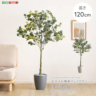 アーバン通商 お手入れ簡単フェイクグリーン ユーカリ Sサイズ(120cm) 観葉植物 ジョイント式 鉢付 SH-06-EUC-S--IV【別送品】