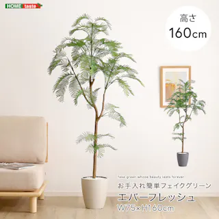 アーバン通商 お手入れ簡単フェイクグリーン エバーフレッシュ Mサイズ(160cm) 観葉植物 ジョイント式 鉢付 SH-06-EVE-M--IV【別送品】