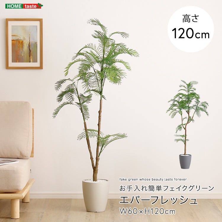 アーバン通商 お手入れ簡単フェイクグリーン エバーフレッシュ Sサイズ(120cm) 観葉植物 ジョイント式 鉢付 SH-06-EVE-S--GY【別送品】