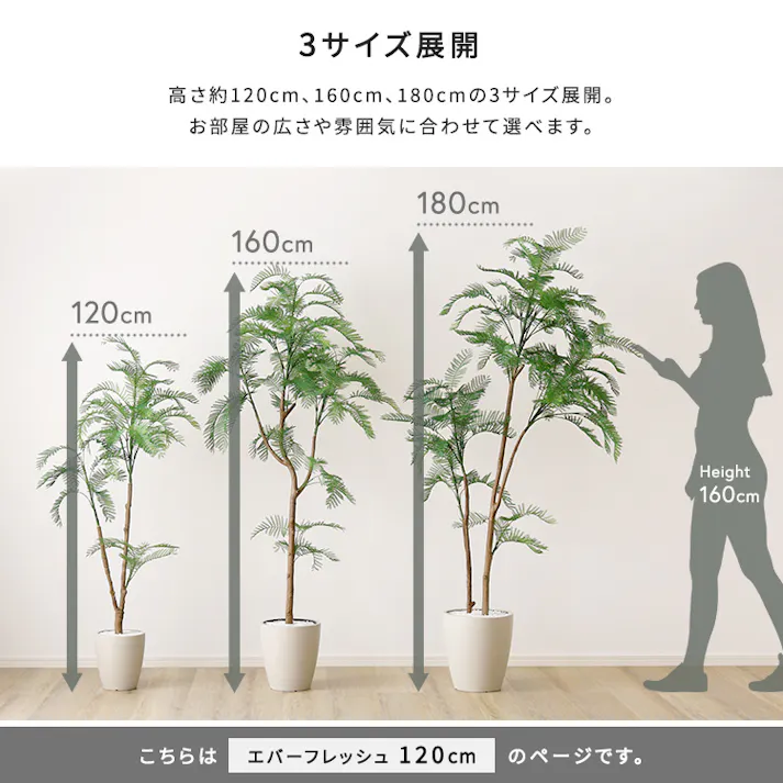 アーバン通商 お手入れ簡単フェイクグリーン エバーフレッシュ Sサイズ(120cm) 観葉植物 ジョイント式 鉢付 SH-06-EVE-S--IV【別送品】