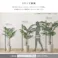 アーバン通商 お手入れ簡単フェイクグリーン フィカス・リラータ Mサイズ(150cm) 観葉植物 ジョイント式 鉢付 SH-06-FIC-M--IV【別送品】