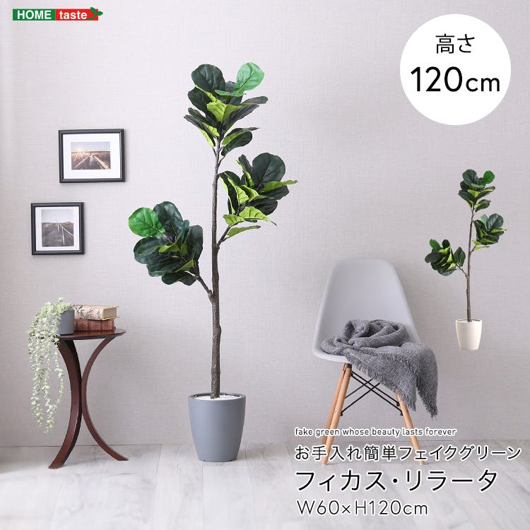 アーバン通商 お手入れ簡単フェイクグリーン フィカス・リラータ Sサイズ(120cm) 観葉植物 ジョイント式 鉢付 SH-06-FIC-S--GY【別送品】