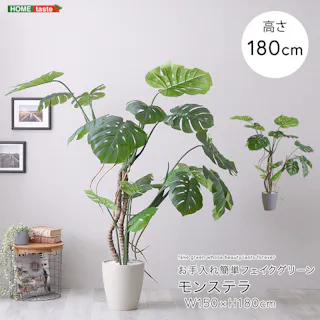 アーバン通商 お手入れ簡単フェイクグリーン モンステラ Lサイズ(180cm) 観葉植物 ジョイント式 鉢付 SH-06-MON-L--GY【別送品】