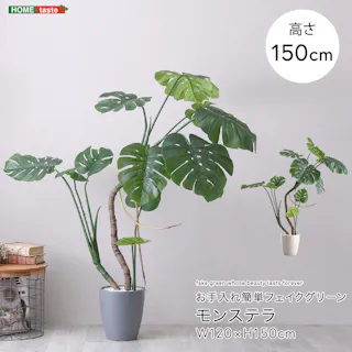 アーバン通商 お手入れ簡単フェイクグリーン モンステラ Mサイズ(150cm) 観葉植物 ジョイント式 鉢付 SH-06-MON-M--GY【別送品】