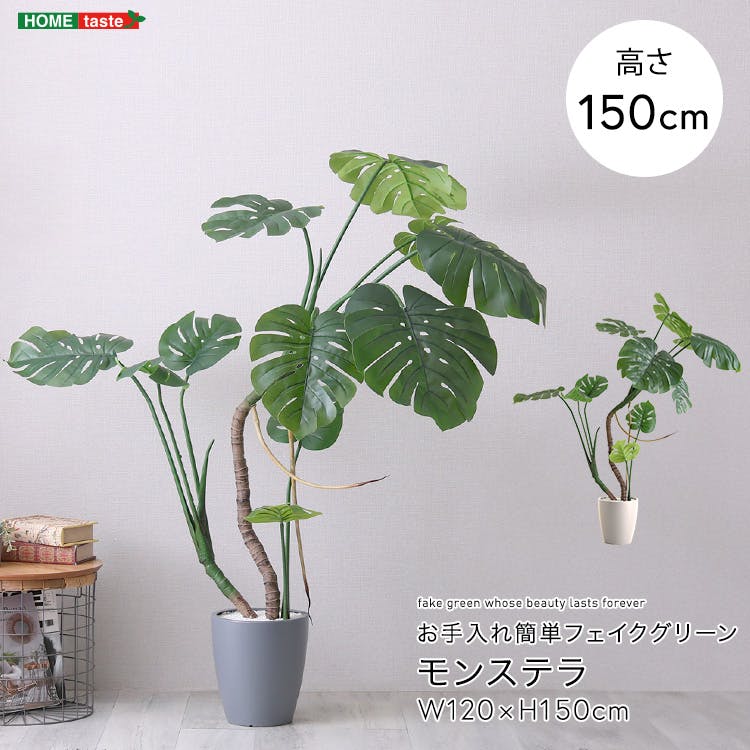 アーバン通商 お手入れ簡単フェイクグリーン モンステラ Mサイズ(150cm) 観葉植物 ジョイント式 鉢付 SH-06-MON-M--IV【別送品】
