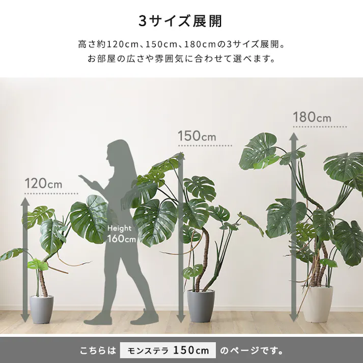 お手入れ簡単フェイクグリーン モンステラ Mサイズ(150cm) 観葉植物 ジョイント式 鉢付 SH-06-MON-M--IV【別送品】