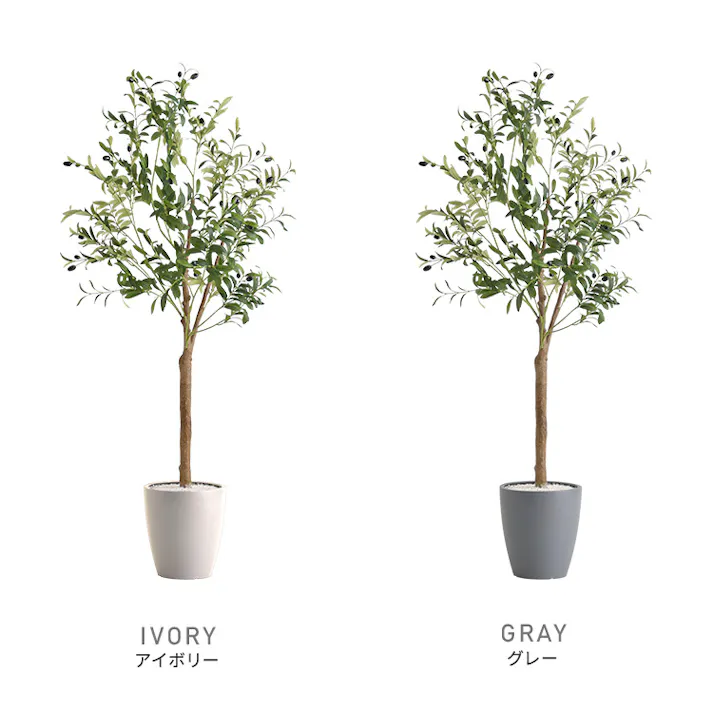 アーバン通商 お手入れ簡単フェイクグリーン オリーブ Lサイズ(180cm) 観葉植物 ジョイント式 鉢付 SH-06-OLV-L--IV【別送品】