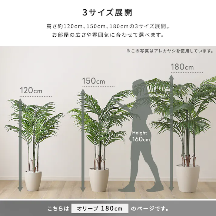 アーバン通商 お手入れ簡単フェイクグリーン オリーブ Lサイズ(180cm) 観葉植物 ジョイント式 鉢付 SH-06-OLV-L--IV【別送品】
