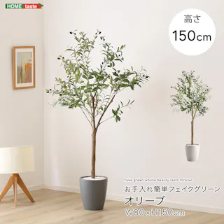 アーバン通商 お手入れ簡単フェイクグリーン オリーブ Mサイズ(150cm) 観葉植物 ジョイント式 鉢付 SH-06-OLV-M--GY【別送品】