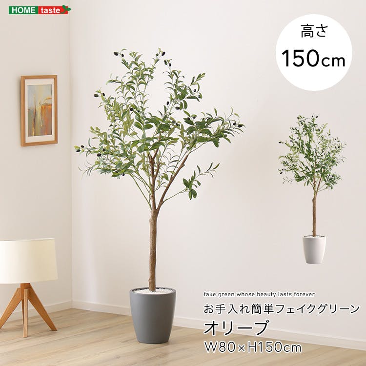 アーバン通商 お手入れ簡単フェイクグリーン オリーブ Mサイズ(150cm) 観葉植物 ジョイント式 鉢付 SH-06-OLV-M--IV【別送品】