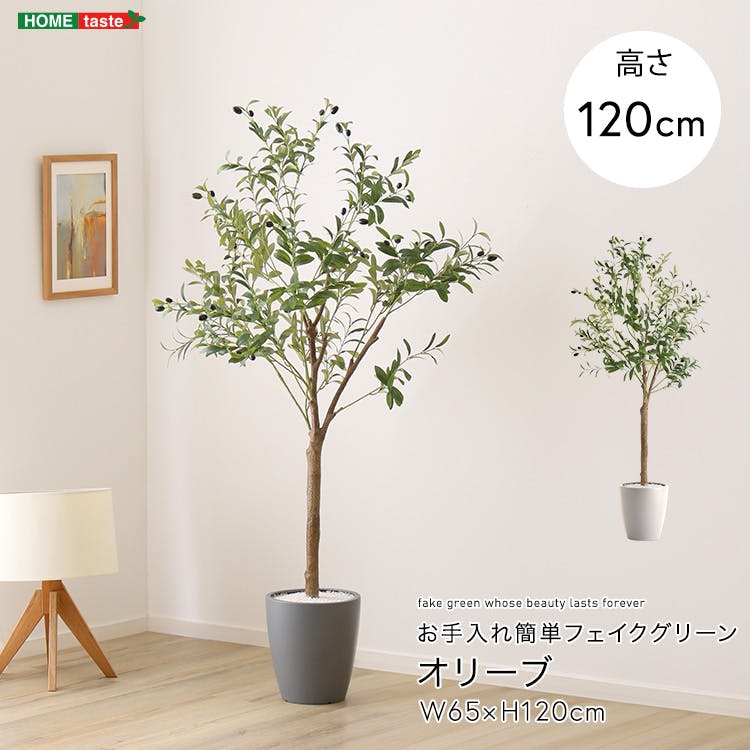 アーバン通商 お手入れ簡単フェイクグリーン オリーブ Sサイズ(120cm) 観葉植物 ジョイント式 鉢付 SH-06-OLV-S--GY【別送品】