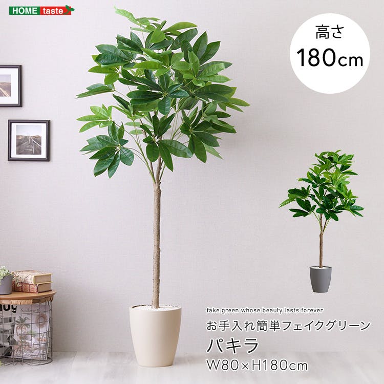 アーバン通商 お手入れ簡単フェイクグリーン パキラ Lサイズ(180cm) 観葉植物 ジョイント式 鉢付 SH-06-PAC-L--GY【別送品】